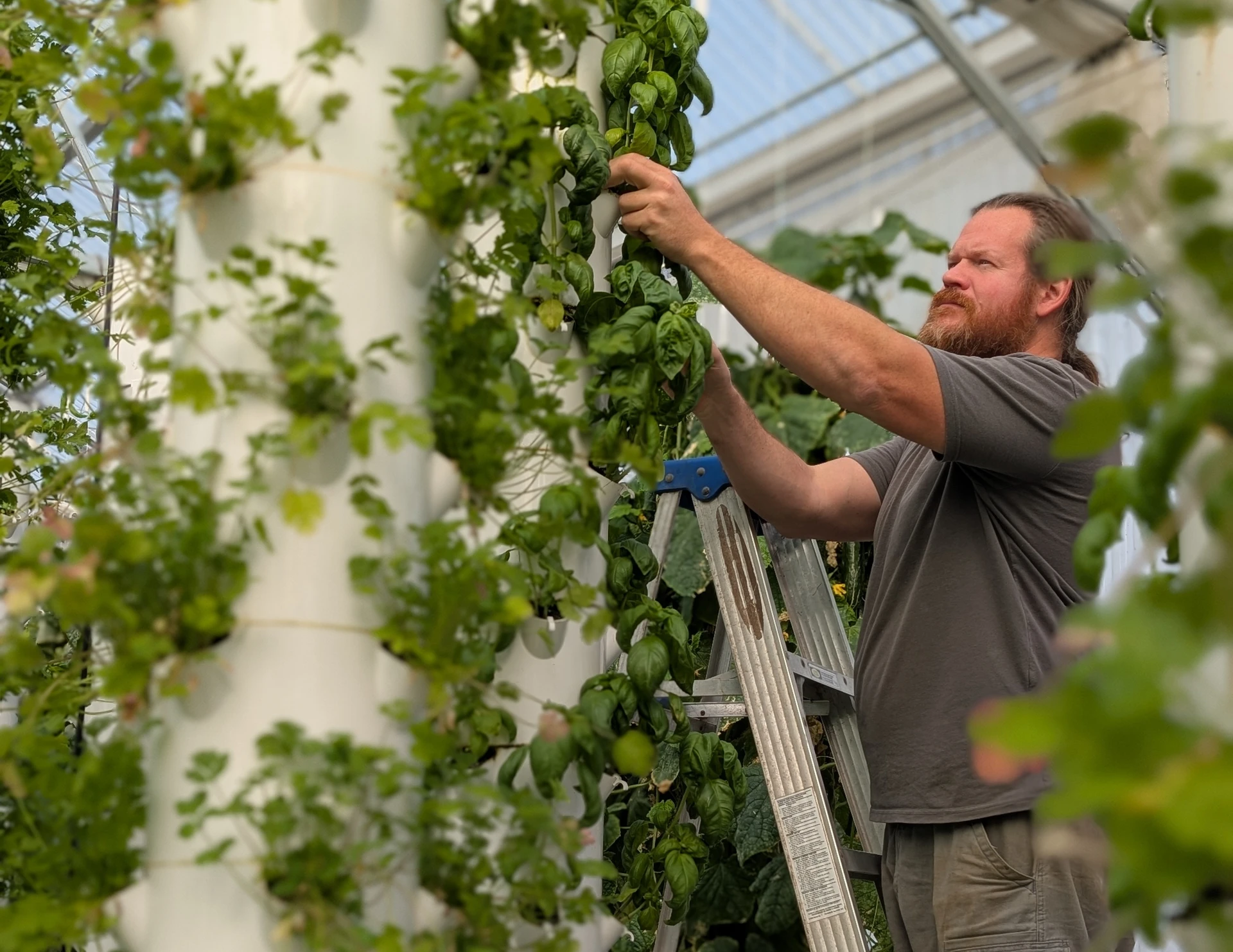 William and Danielle Texada standing inside the Vermillion Farms aeroponic greenhouse in Coupland Texas